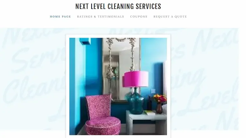 Next Level Cleaning Services