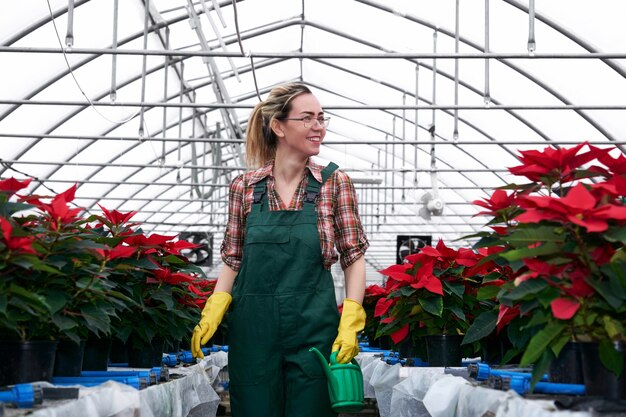 Greenhouse Cleaning Services for Thriving Plants and a Happy Gardener in London.