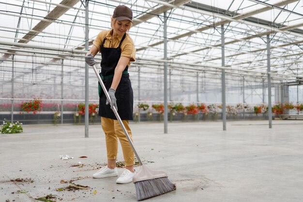 Expert Greenhouse Cleaning Services for a Cleaner, Healthier Garden in London.