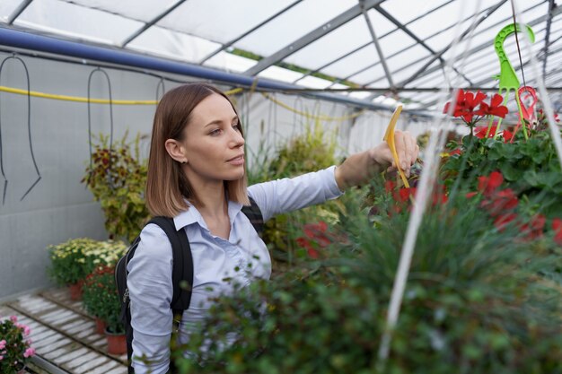 Professional Greenhouse Cleaning Services for Your London Garden.