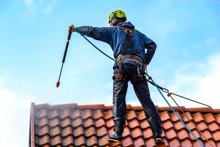 Pearl Lemon Cleaners cleaning roof tiles