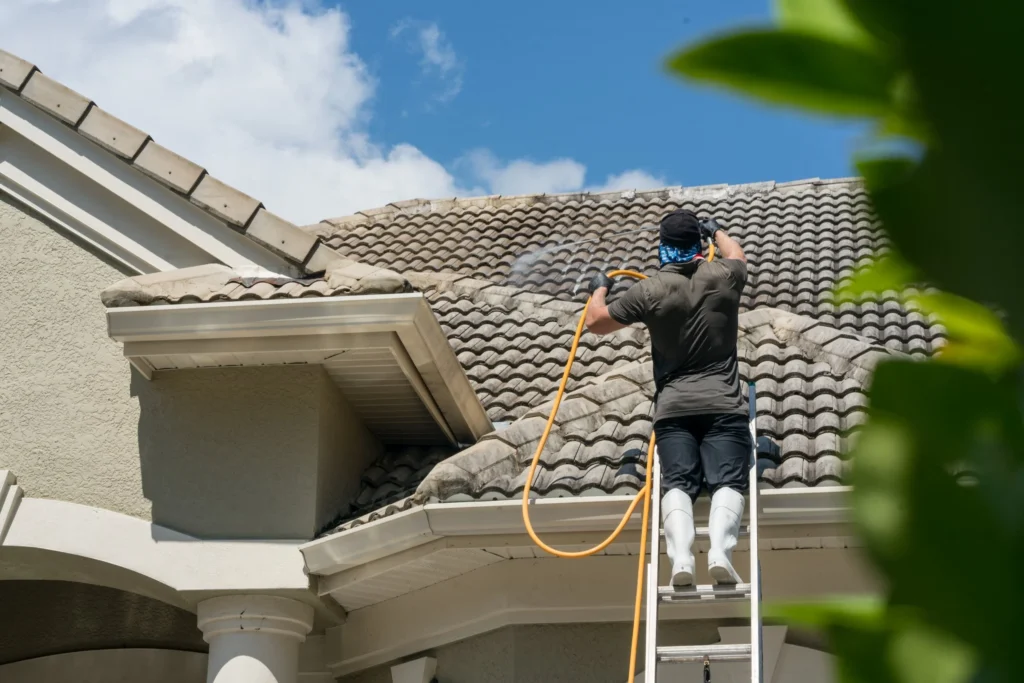 Soft Wash Roof Cleaning