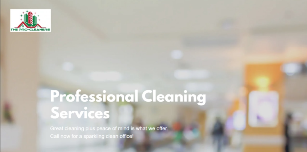 8. Pro Cleaners