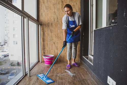 Steam Cleaning Systems