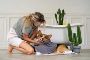Top 10 Pet Odor Cleaning Services in London