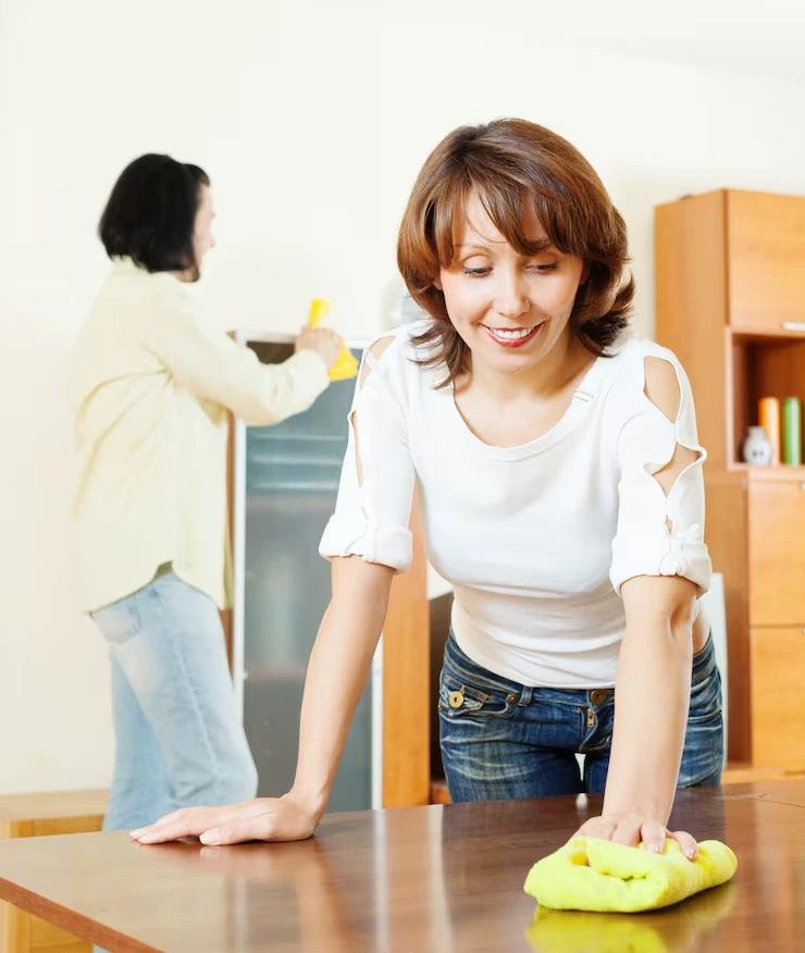 Regular Domestic Cleaning